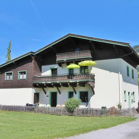 Spacious Near Area In Apartment Niedernsill