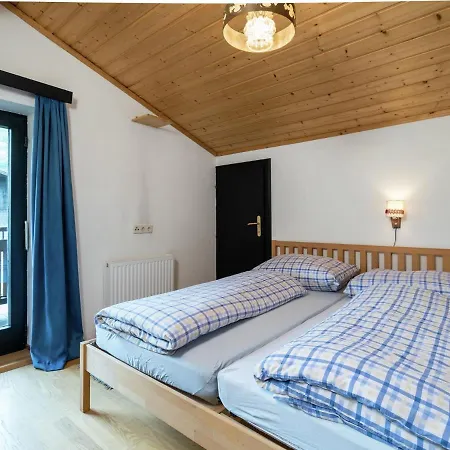 Spacious Near Area In Apartment Niedernsill