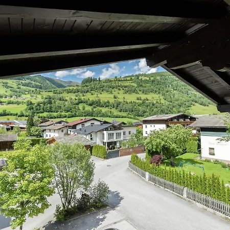 Apartment Spacious Near Area In Niedernsill