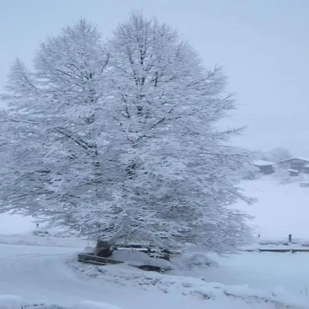 In Near Zell Am Lift Lejlighed Niedernsill
