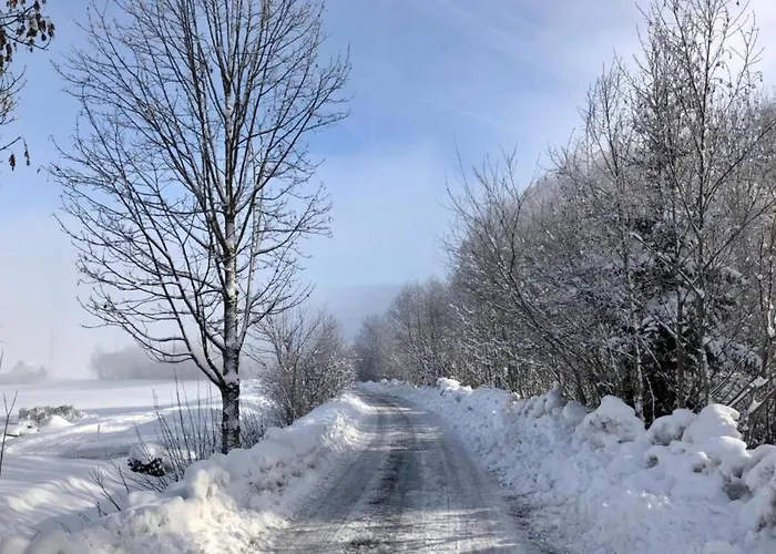 Daire In Near Zell Am Lift Niedernsill